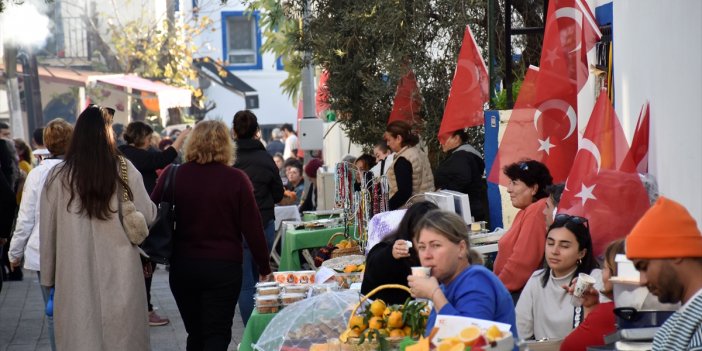 Muğla'da "Bodrum Mandalin Festivali" düzenlendi