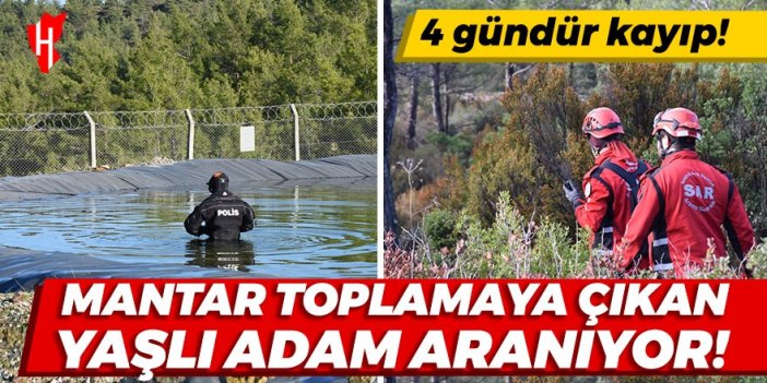 Mantar toplamaya çıkan yaşlı adam aranıyor: 4 gündür kayıp!