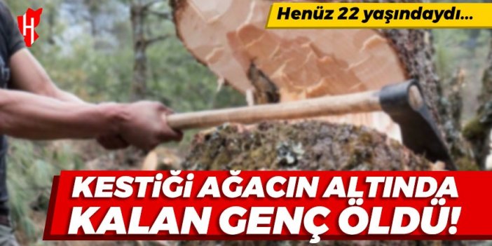 Kestiği ağacın altında kalan 22 yaşındaki genç öldü!