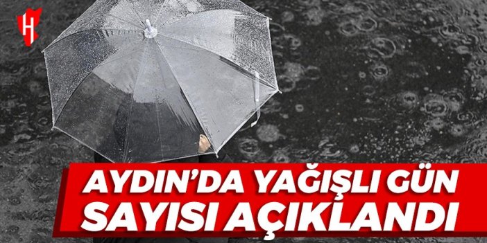 Aydın'da yağışlı gün sayısı açıklandı