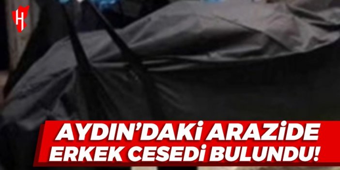 Aydın'daki arazide erkek cesedi bulundu!