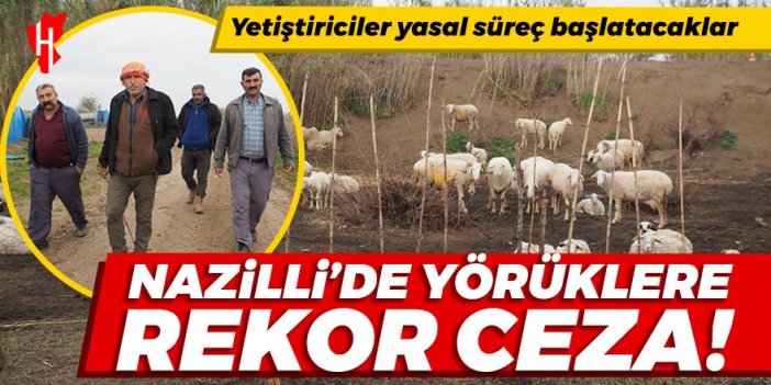 Nazilli’de yetiştiriciler tek yürek oldu! Yasal süreç başlatacaklar