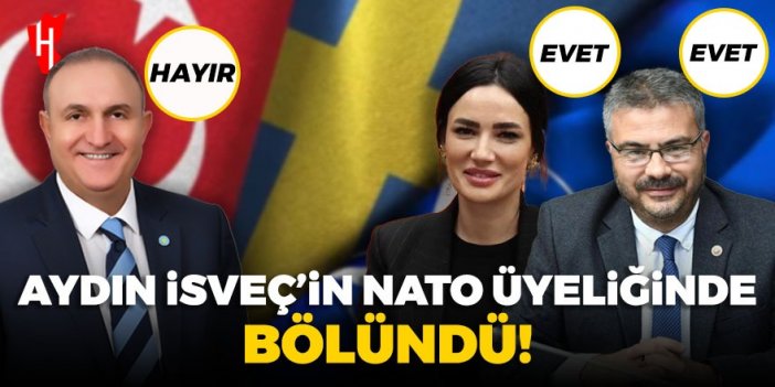 Aydın İsveç'in NATO üyeliğinde bölündü!