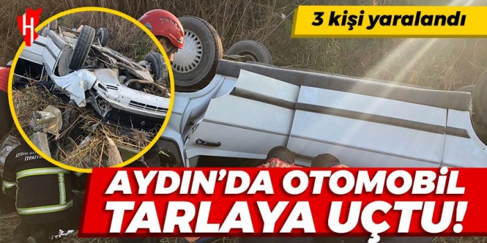 Aydın'da otomobil tarlaya uçtu: 3 kişi yaralandı