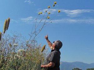 Kuşadası’nın Tüllüşah’ı Açtı