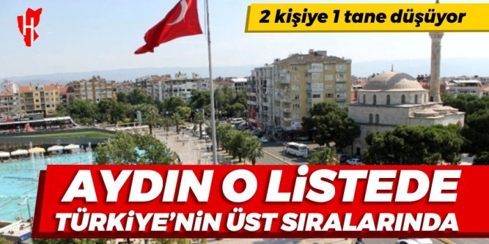 Aydın o listede Türkiye'nin üst sıralarında: 2 kişiye 1 araç düşüyor