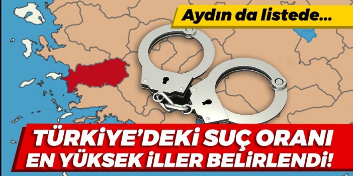 Türkiye'de suç oranları en yüksek iller belirlendi! Aydın o listede