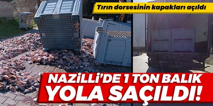 Nazilli’de 1 ton balık yola saçıldı!