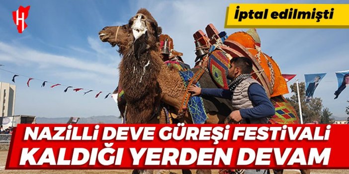 Nazilli Deve Güreşi Festivali kaldığı yerden devam