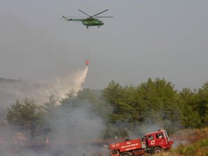 Aydın’da 8 Dekar Malilik Alan Zarar Gördü