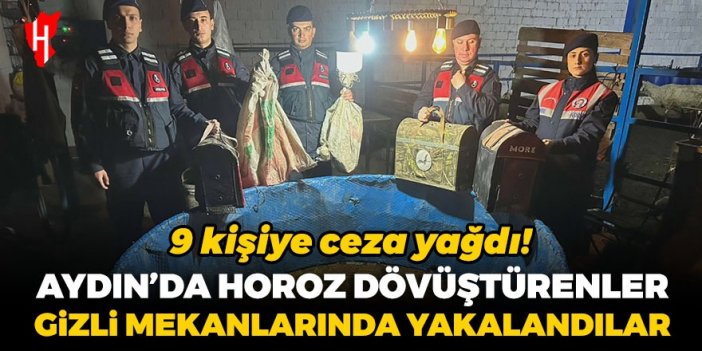 Aydın’da horoz dövüştüren 9 kişiye 122 bin 769 lira para cezası!