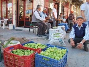 Aydın’da İlek Pazarları Kuruldu