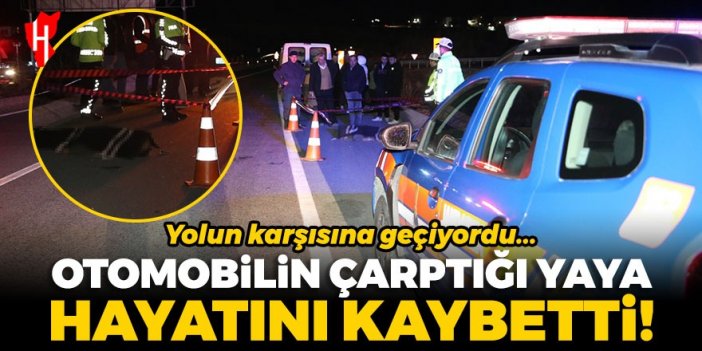 Otomobilin çarptığı yaya hayatını kaybetti