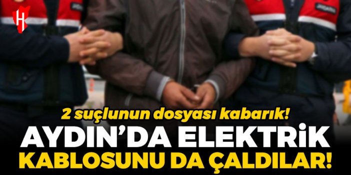 Aydın’da elektrik kablosunu da çaldılar: 2 suçlunun dosyası kabarık!