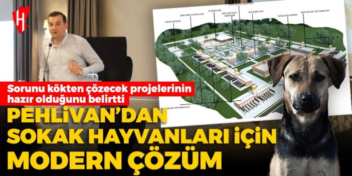 Cumhur İttifakı Efeler başkan adayı Pehlivan'dan sokak hayvanları için modern çözüm