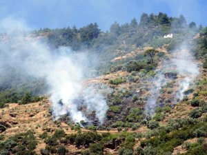 Bozdoğan’da Arazi Yangını Korkuttu