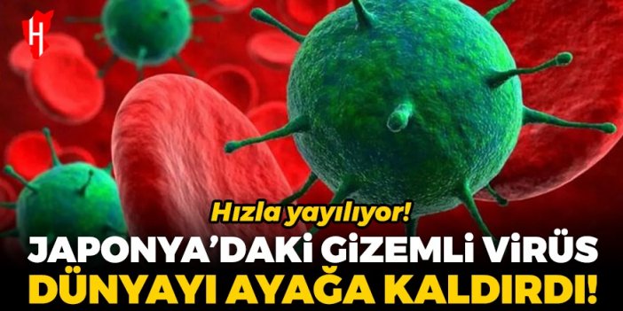 Japonya'daki gizemli virüs dünyayı ayağa kaldırdı!