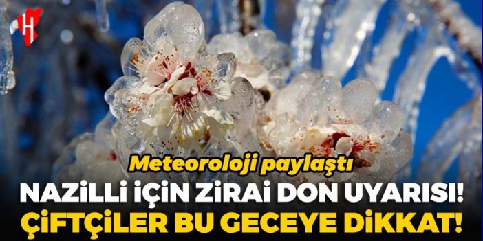 Nazilli için zirai don uyarısı! Çiftçiler bu geceye dikkat