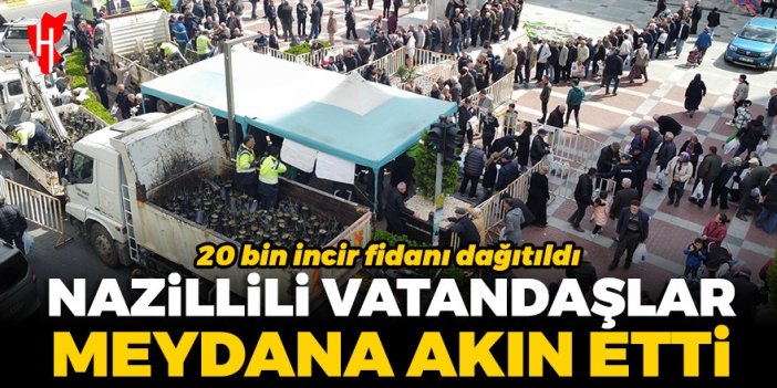 Nazillili vatandaşlar belediye meydanına akın etti: 20 bin incir fidanı dağıtıldı