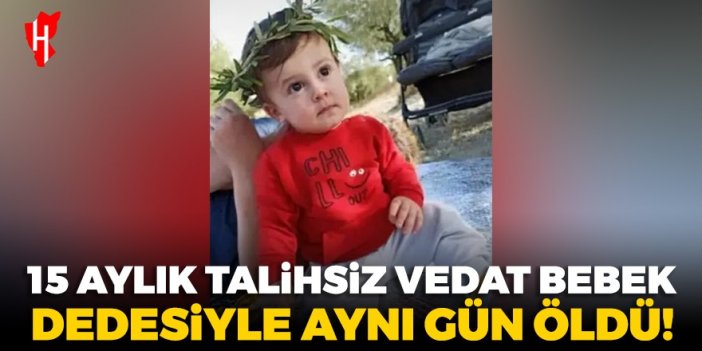 15 aylık talihsiz Vedat bebek dedesiyle aynı gün öldü