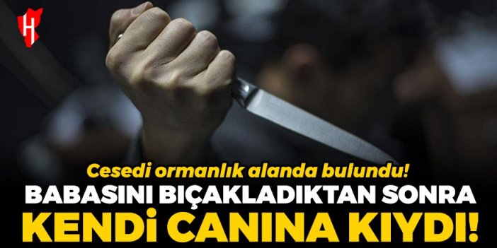 Babasını bıçakla yaraladıktan sonra kendi canına kıydı!