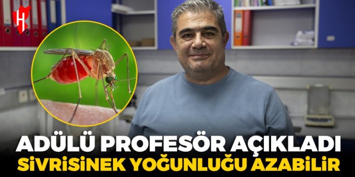 ADÜ'lü profesör açıkladı: Ege ve Akdeniz'de sivrisinek yoğunluğu azalabilir