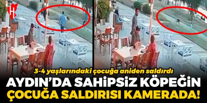 Aydın'da sahipsiz köpeğin çocuğa saldırısı güvenlik kamerasına yansıdı!