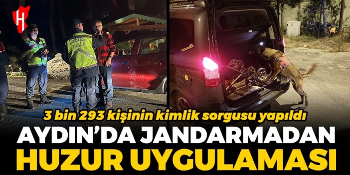 Aydın'da jandarmadan huzur ve güven uygulaması: 3 bin 293 şahıs sorgulandı