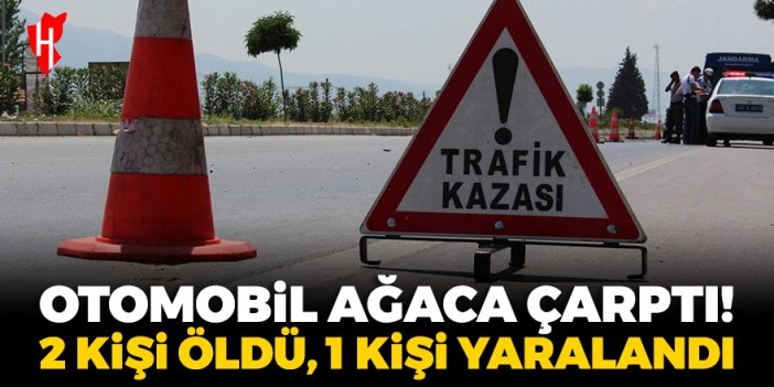 Otomobil ağaca çarptı: 2 kişi öldü, 1 kişi yaralandı