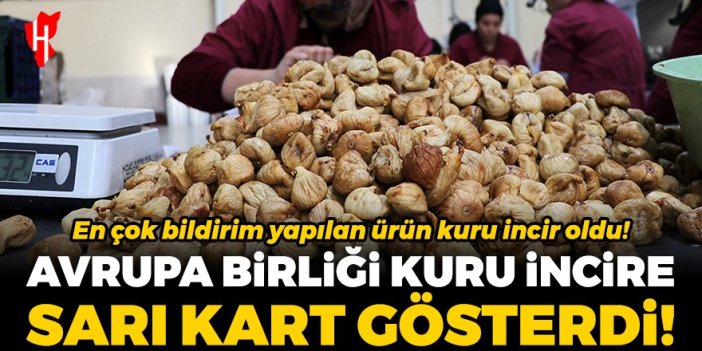 Avrupa Birliği'nden kuru incire uyarı bildirimi!