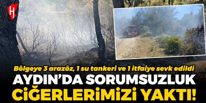 Aydın'da yol kenarında yakılan ateş ormanlık alanda yangın çıkardı!