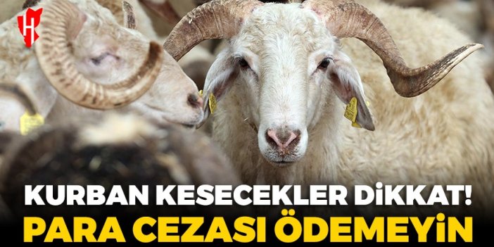 Kurban kesecekler dikkat! Para cezası ödemeyin...