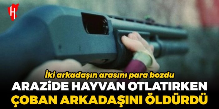 İki arkadaşın arasını para bozdu! Arazide hayvan otlatırken çoban arkadaşını öldürdü