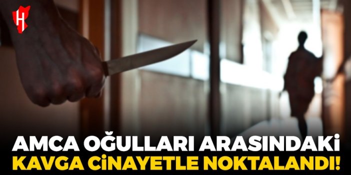 Amca oğulları arasındaki kavga cinayetle noktalandı!