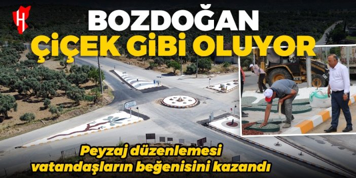 Bozdoğan çiçek gibi oluyor: Yazıkent Dörtyol kavşağı yeni görüntüsüne kavuştu