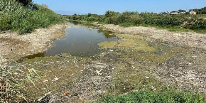 Büyük Menderes Nehri'nde korkutan tablo: Mayıs ayında kurudu!