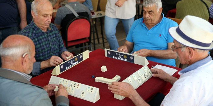 Aydın'da kadına şiddete böyle dikkat çekildi: Okey ıstakalarına "Kadına el kalkamaz" çıkartması