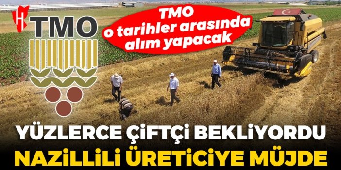 Yüzlerce çiftçi bekliyordu! Nazillili üreticiye müjde: TMO o tarihler arasında alım yapacak