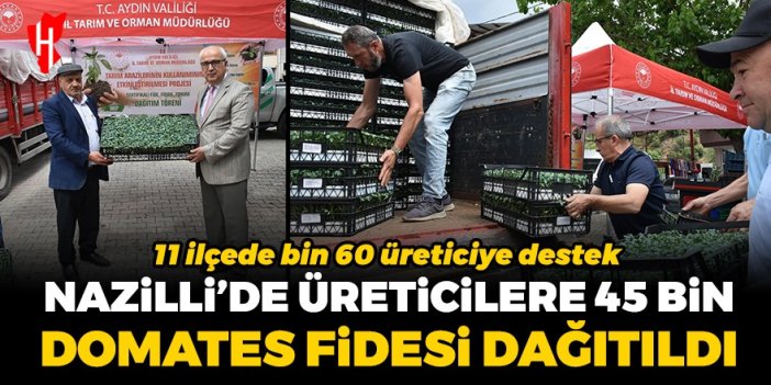 Nazilli’de üreticilere 45 bin domates fidesi dağıtıldı