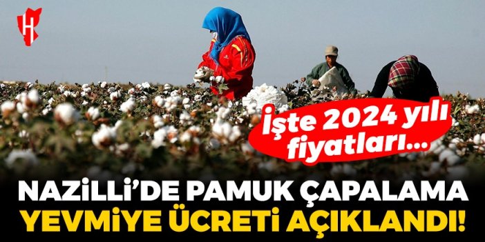 Nazilli’de 2024 yılı pamuk çapalama yevmiye ücreti açıklandı