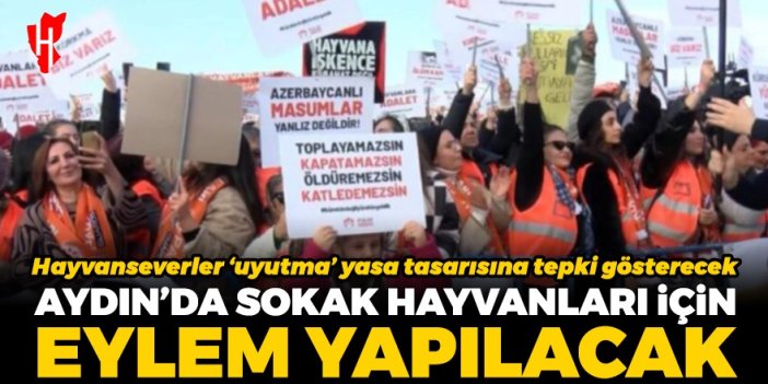 Aydın’da sokak hayvanları için eylem yapılacak! Hayvanseverler ‘uyutma’ yasa tasarısına tepki gösterecek