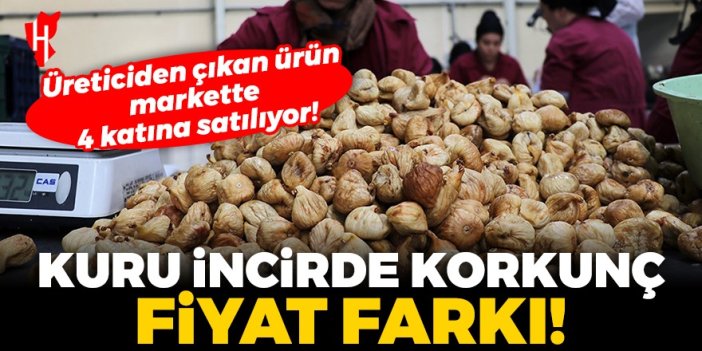 Kuru incirde korkunç fiyat farkı! Üreticiden çıkan kuru incir markette 4 katı fiyata satılıyor