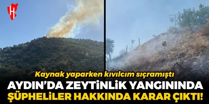 Kaynak yaparken kıvılcım sıçramıştı: Aydın'daki zeytinlik yangınında şüpheliler hakkında karar çıktı!