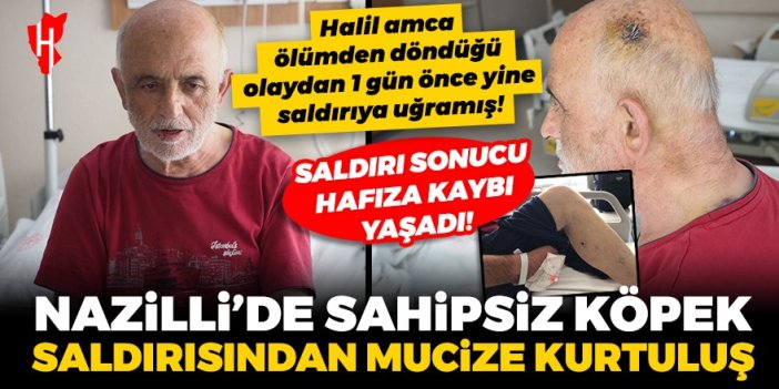 Nazilli'de sahipsiz köpek saldırısından mucize kurtuluş: 5 günlük yaşam savaşını kazandı