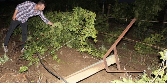 Dolu ve fırtına üzüm bağlarında zarara yol açtı