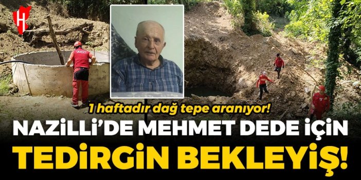 Nazilli'de Mehmet dede için tedirgin bekleyiş! 1 haftadır dağ tepe aranıyor...