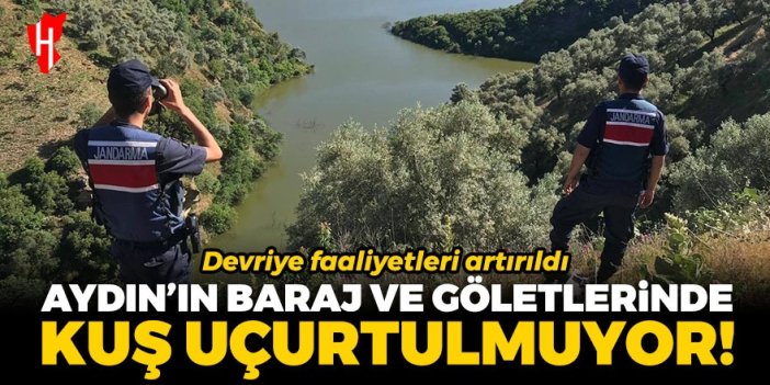 Jandarma devriyeleri artırıldı! Aydın'ın baraj ve göletlerinde kuş uçurtulmuyor