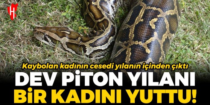 Dev piton yılanı bir kadını yuttu!