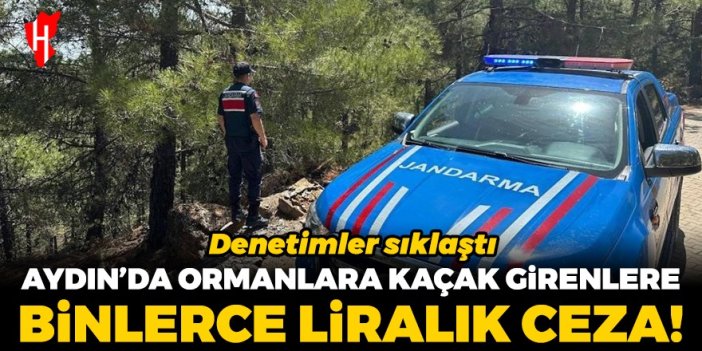 Aydın'da ormanlara izinsiz girenlere ceza yağdı!