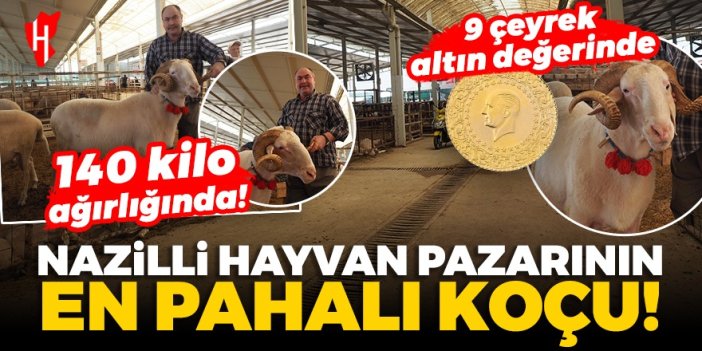 Nazilli’de hayvan pazarının en pahalı koçu alıcısını bekliyor